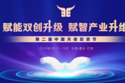 天使投资,点燃创业梦想的金融火种