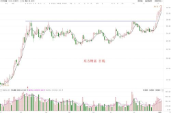 股票000987,小幅上涨，市场表现稳健”
