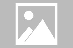 对应三家企业的崭新打算叙话）注册公司的程序有哪些（大家将正在上海车展宣告三款观念车